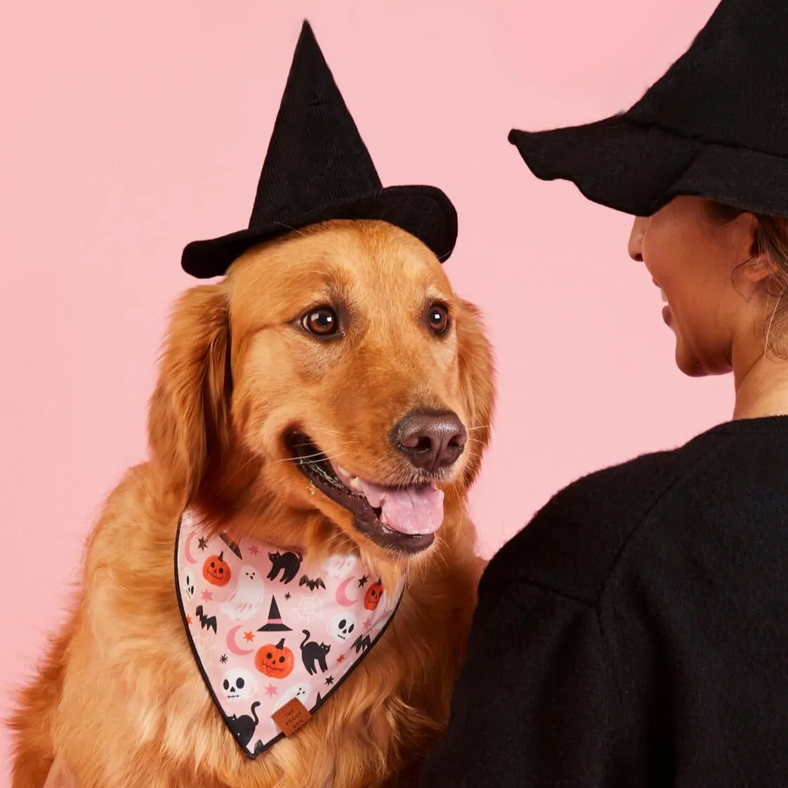 Bewitched Dog Bandana