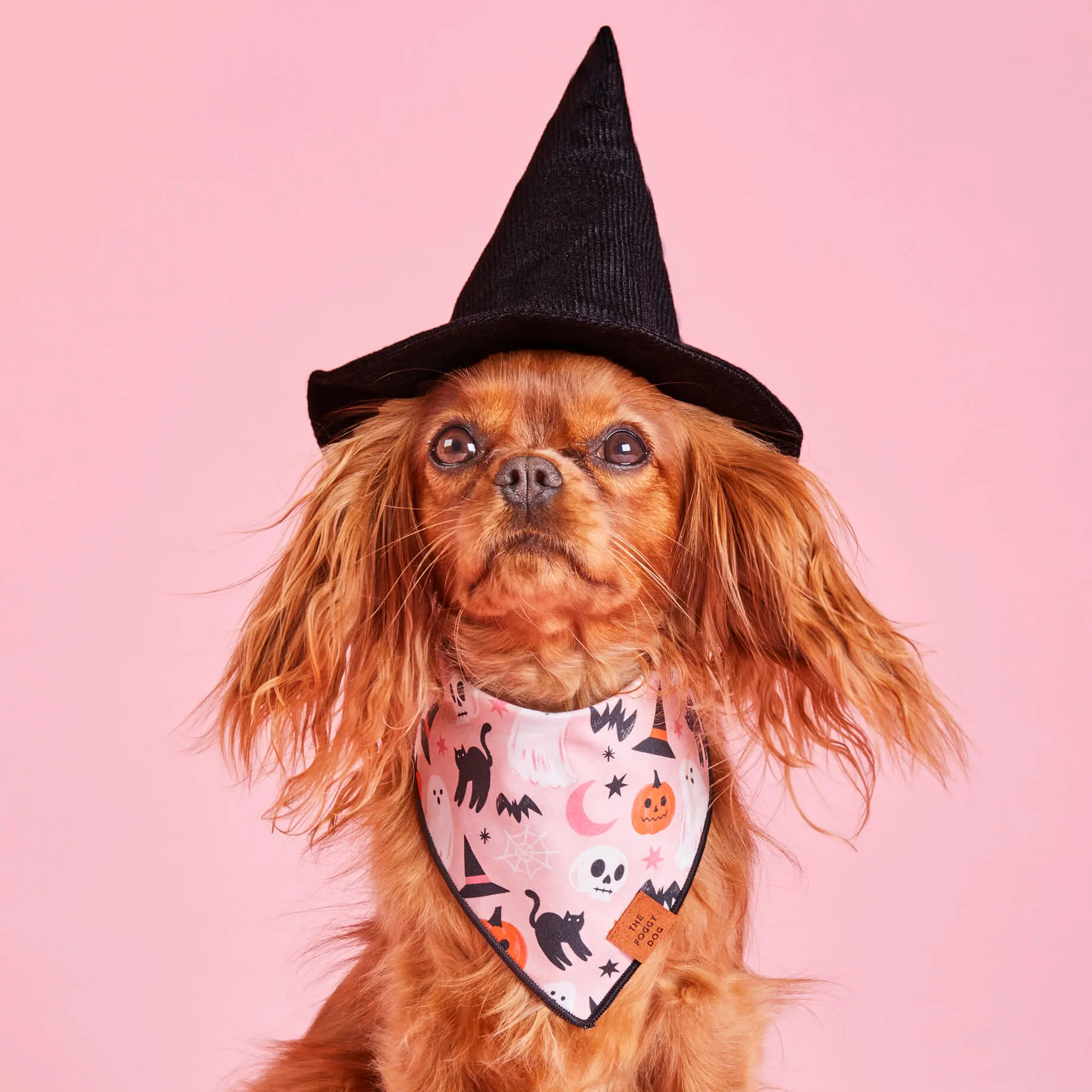 Bewitched Dog Bandana