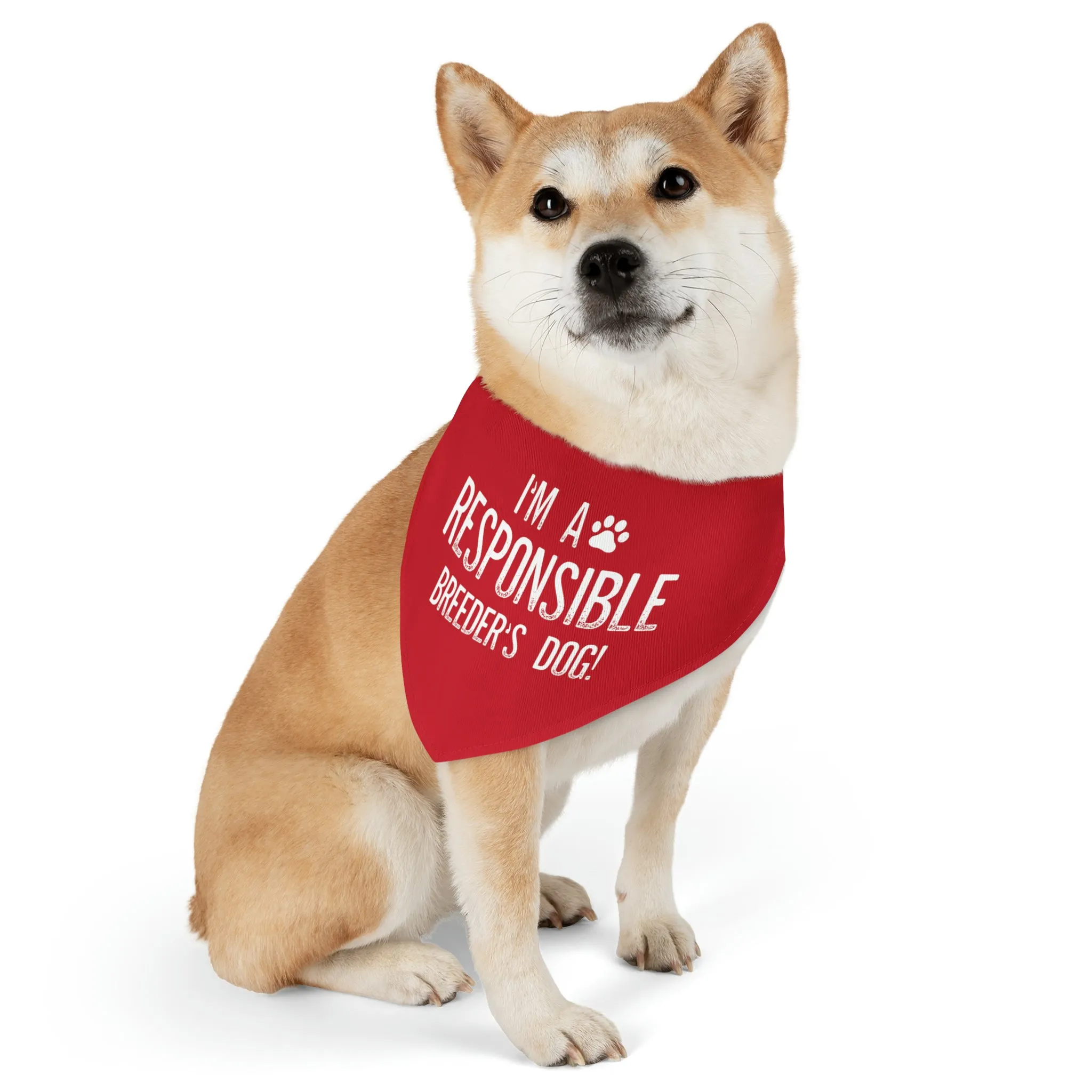 Fun and Durable Pet Bandana