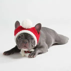 Knit Pom Pom Dog Beanie Hat - Santa