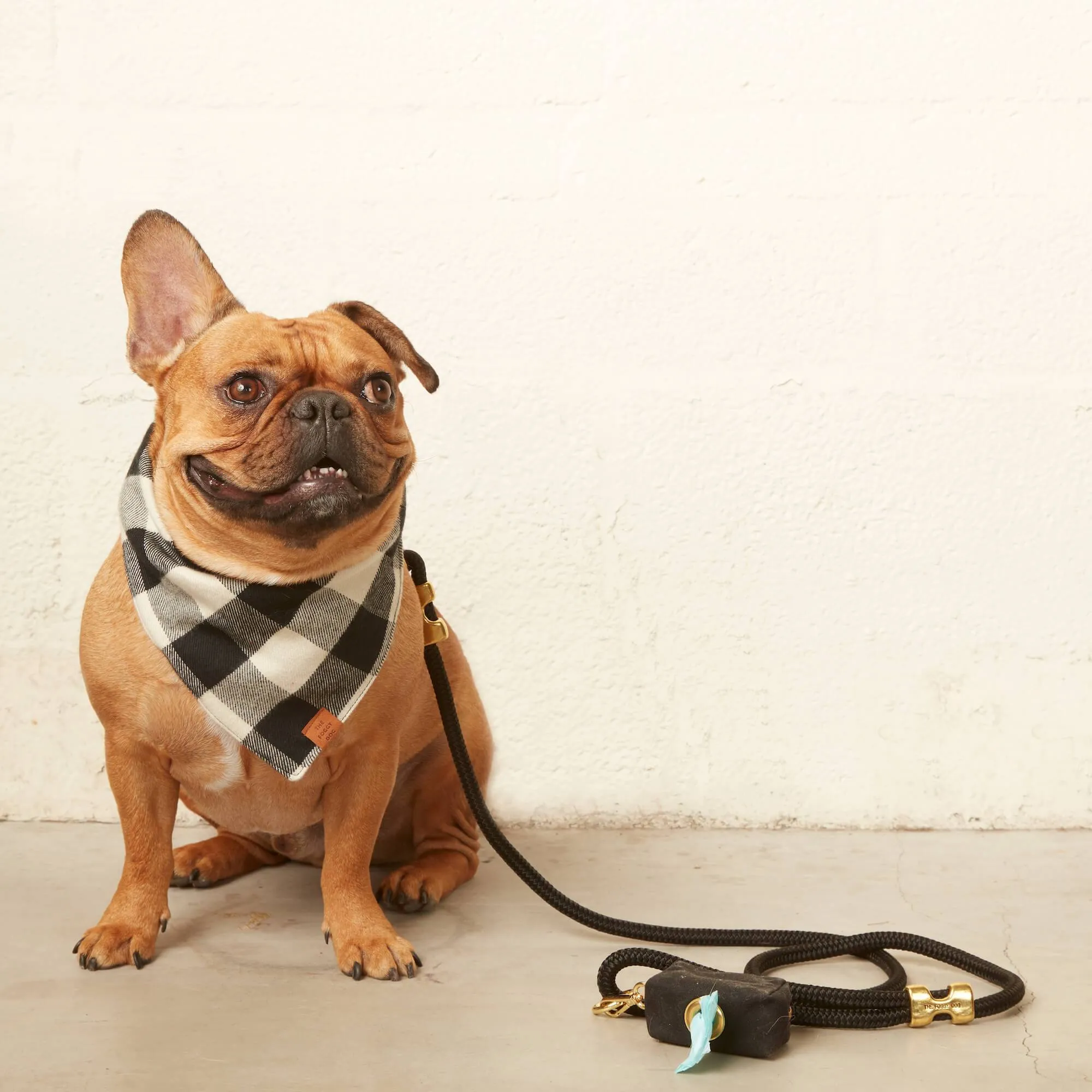 Onyx Marine Rope Dog Leash