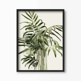 Parlour Palm Botanical Art Print